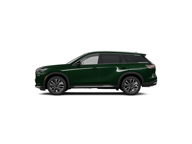2026 Infiniti QX60 Luxe photo 7
