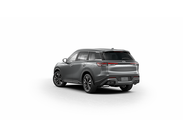 2024 Infiniti QX60 Luxe photo 6