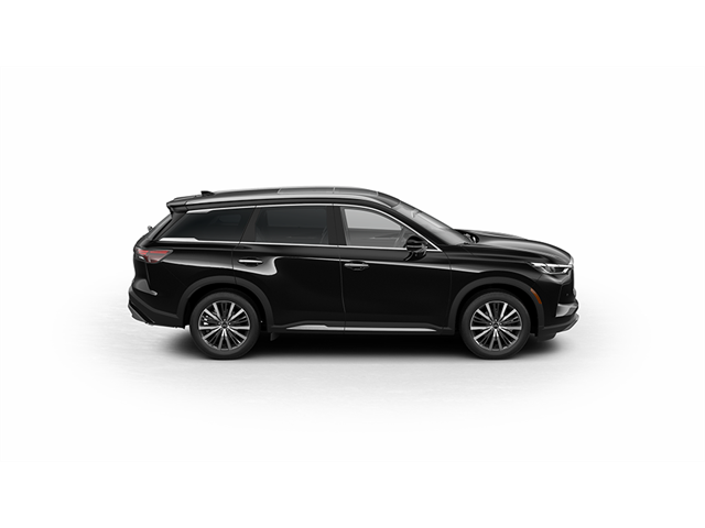 2024 Infiniti QX60 Sensory photo 3