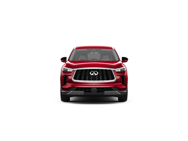 2022 Infiniti QX60 Luxe photo 2