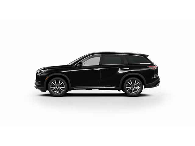 2024 Infiniti QX60 Sensory photo 6