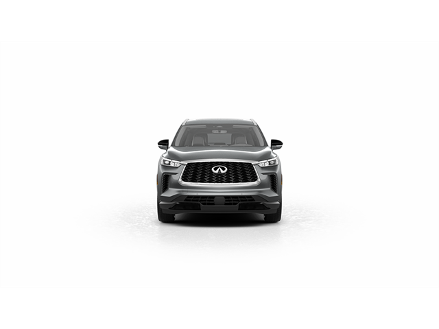 2024 Infiniti QX60 Luxe photo 2